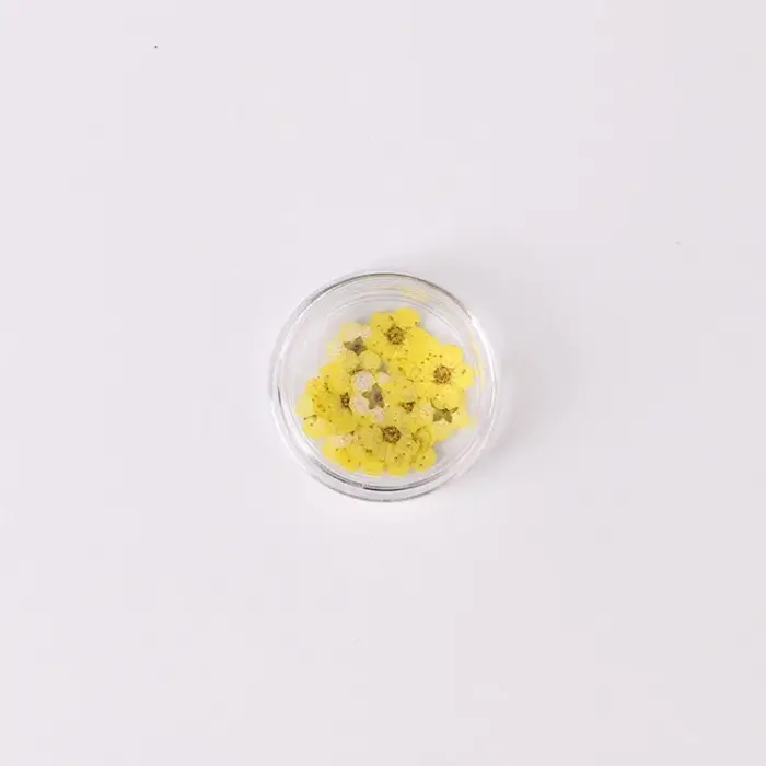 Ensemble de petites fleurs séchées Spirea pour décorations Nail Art