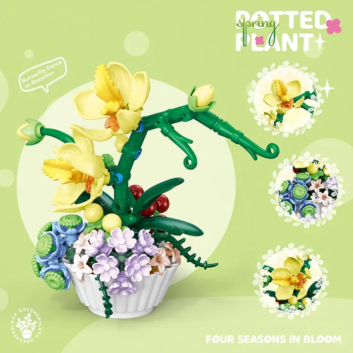 Petites plantes en pot style Ins