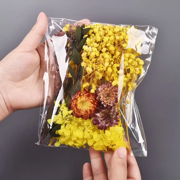 Fleur séchée naturelle pour bougie