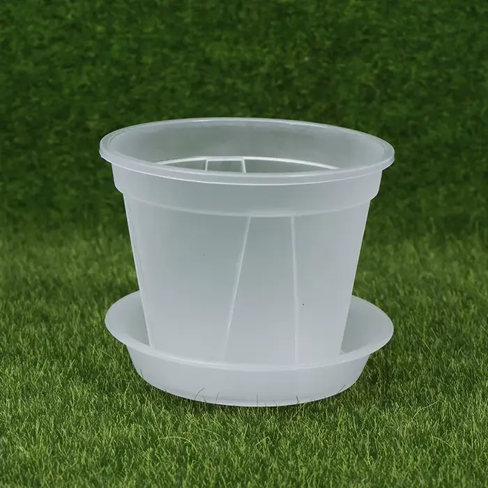 Pot de fleur transparent avec escalier