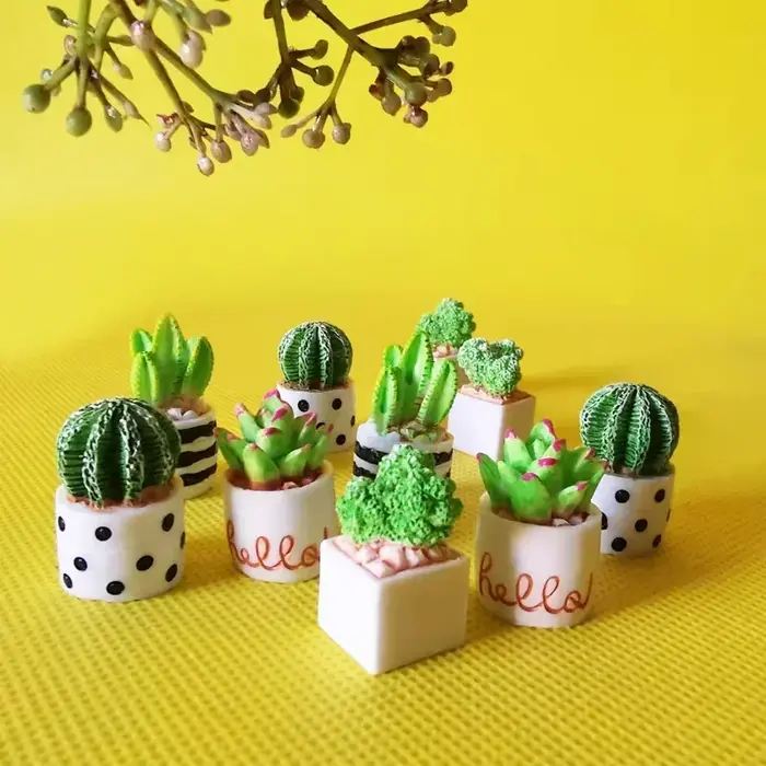 Plantes succulentes en résine