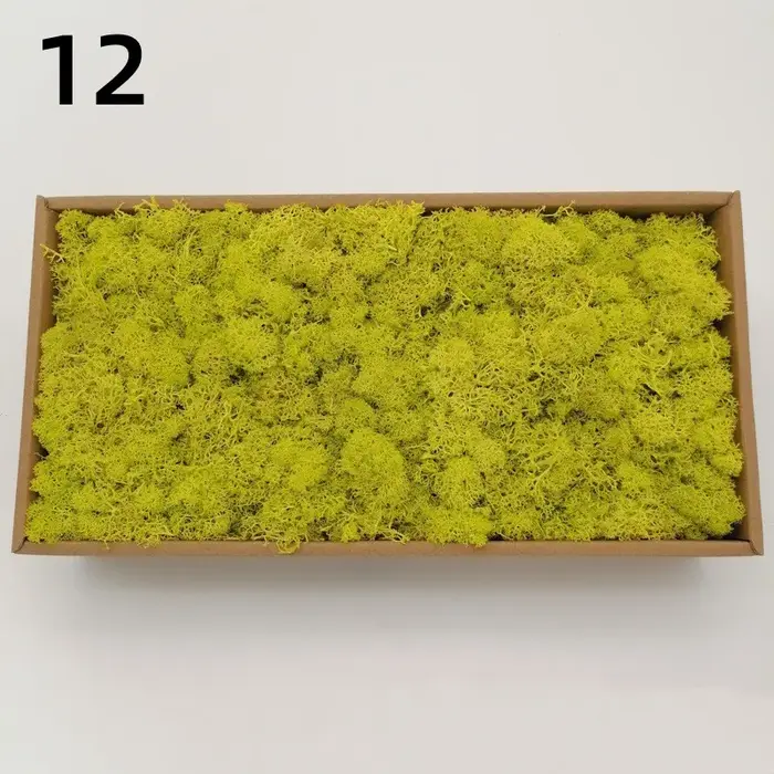 Nouvelles plantes vertes artificielles vie éternelle mousse herbe bricolage