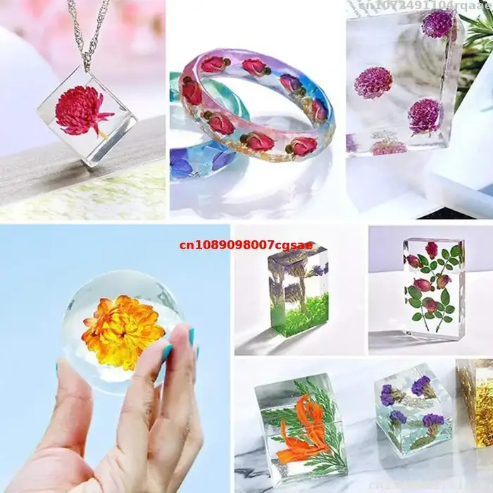 Fleur de Camélia Dorée Séchée Naturelle Petelotii (merr.) Fleurs séchées Sealy pour savon