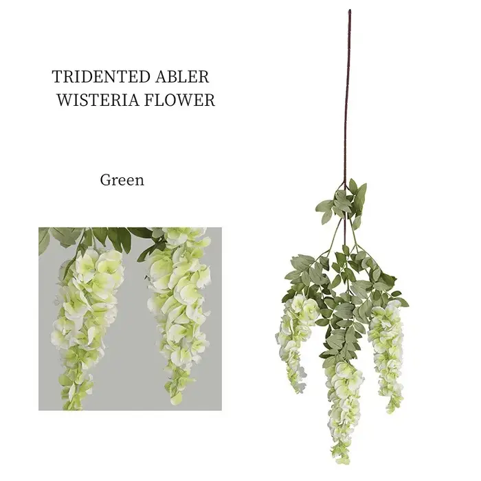 Tenture murale de fleurs de glycine, plantes à cordes florales, arrangement d'arrière-plan de mariag
