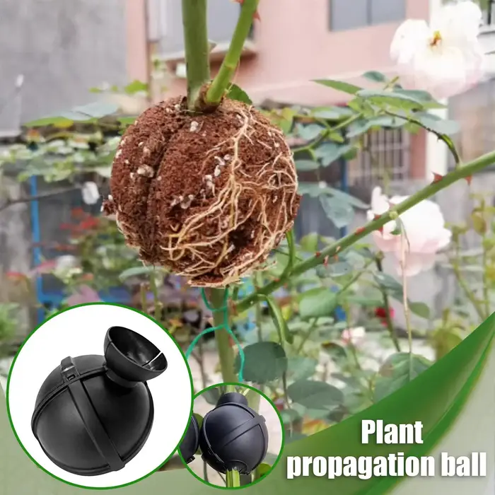 Boule de bouturage pour plantes, boîte de greffage, substrat fertilisant, pour la propagation et la transplantation des plants en pot de jardin