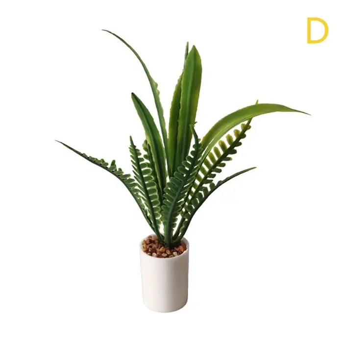Plante l'inventaire en pot avec feuilles vertes