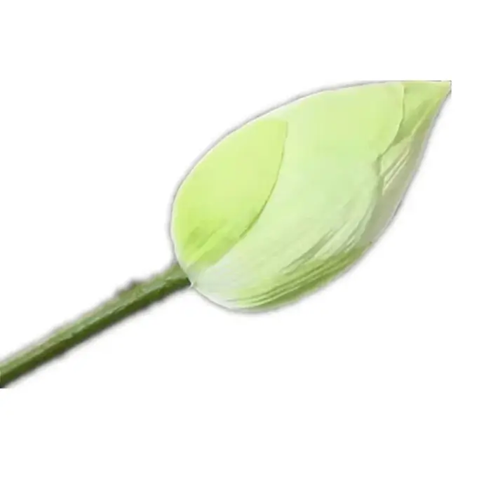 Une branche de fleur de lotus artificielle en soie