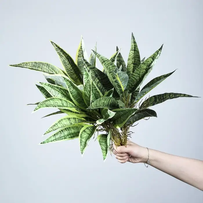 5 pièces de plantes artificielles en plastique Sansevieria