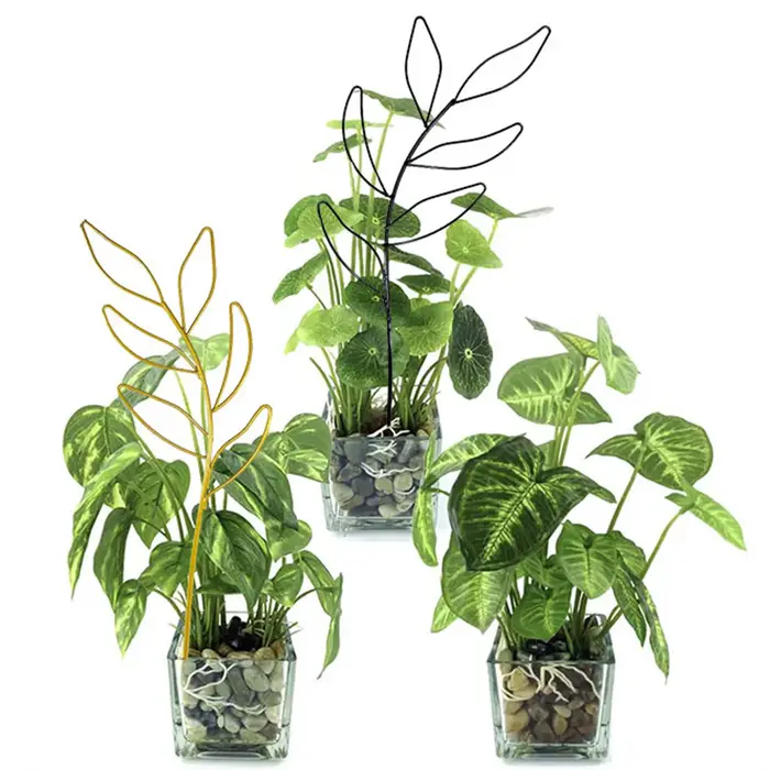 Cadre de support de croissance de plantes en treillis