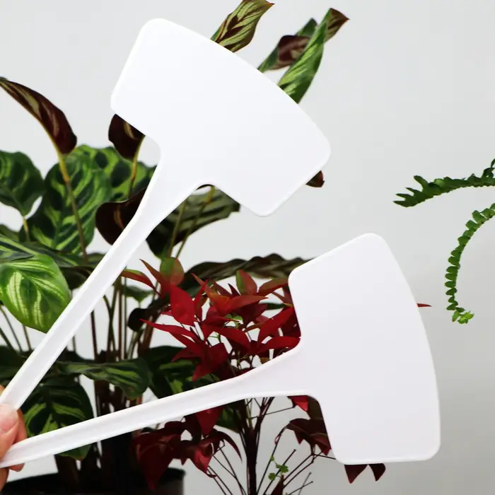 Étiquettes de plantes blanches de type T