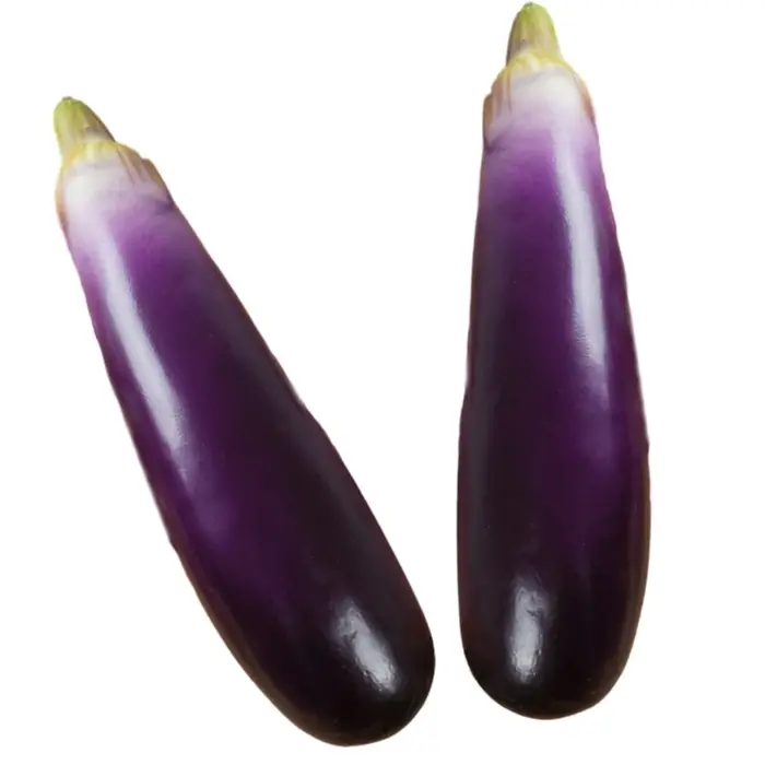 Simulation d'aubergines artificielles en mousse souple