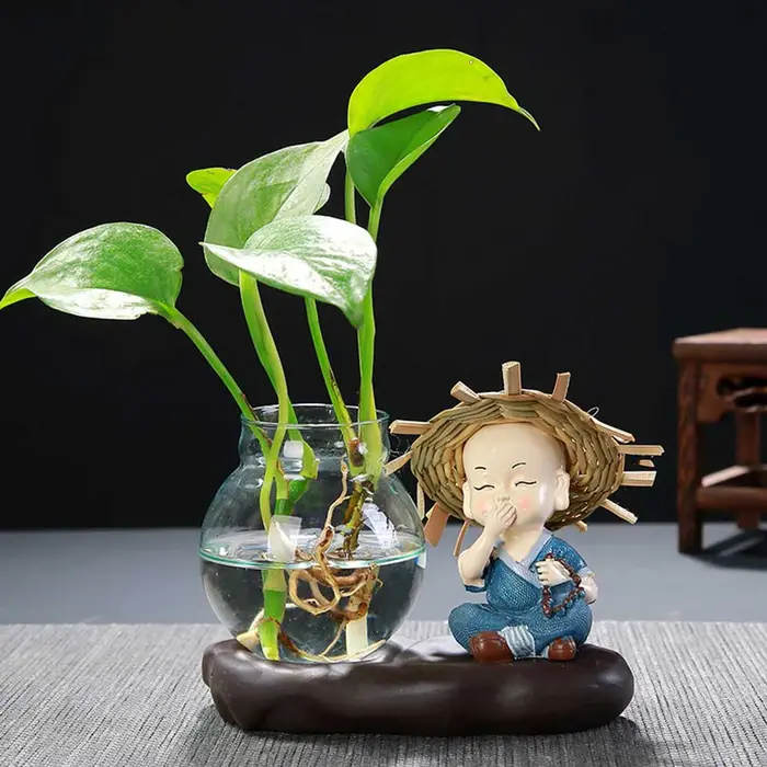 Vase en verre belle plante transparente Terrarium