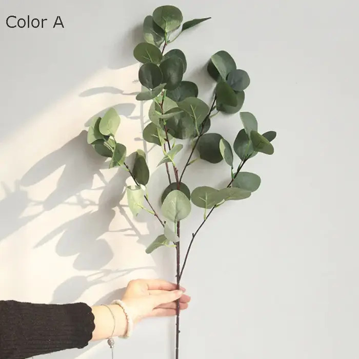 Branche d'arbre d'eucalyptus