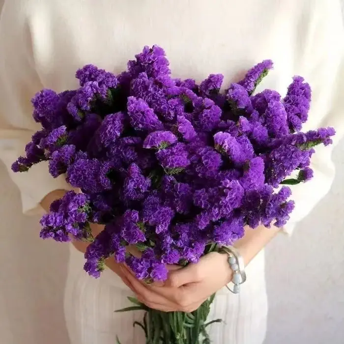 Bouquet de fleurs naturelles, 100g, véritable, oubliez-moi, pas, cadeaux de Couple romantique, fleur