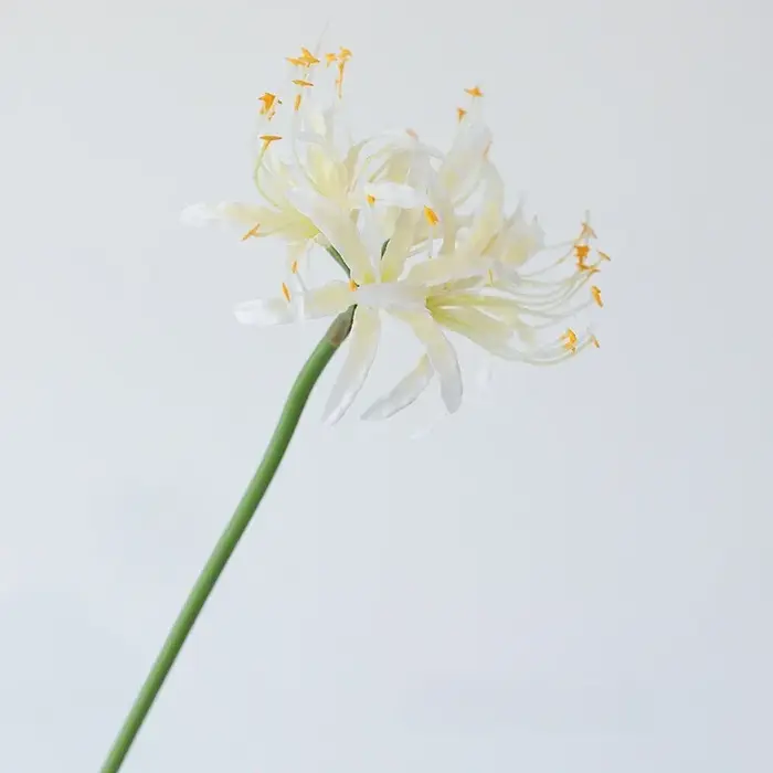 Fleurs Artificielles Décoratives pour Mariage
