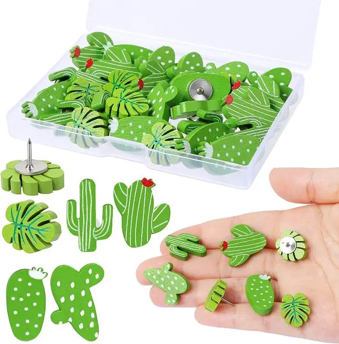 Punaises en bois pour plantes et Cactus, 20 pièces, avec boîte, punaises décoratives en forme de feu