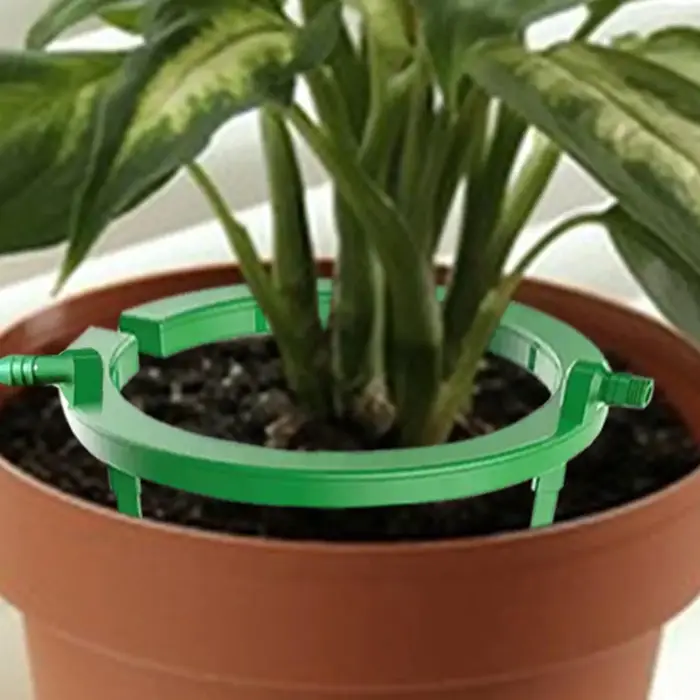 Anneau d'irrigation pour plantes