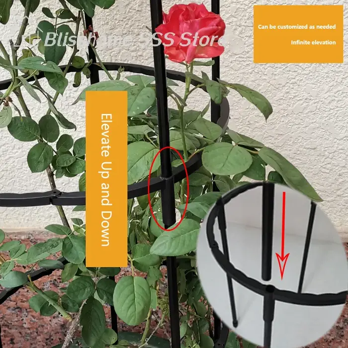 【S】1 ensemble de cages de soutien pour plantes grimpantes