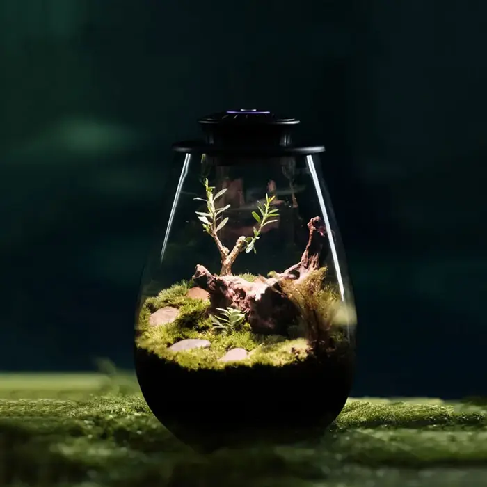 Micro lampe de croissance de plantes de paysage 6500K plante poussent la lumière LED