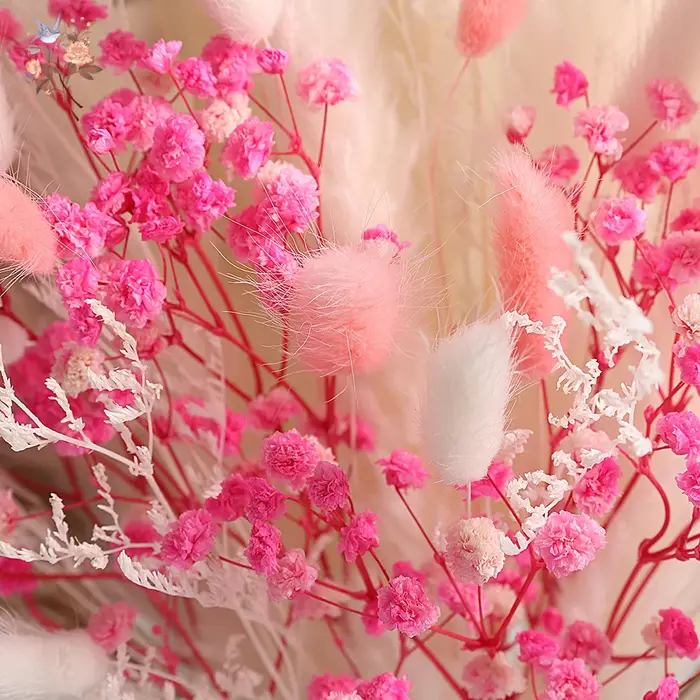 Bouquet de fleurs d'herbe de Pampas éternelle rose
