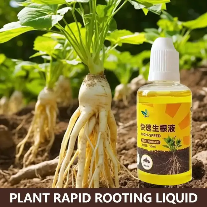 Stimulateur de racines liquide rapide 50 ml, agent nutritif pour l'enracinement, engrais pour la cro