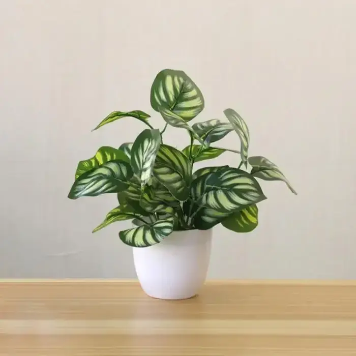 Plantes artificielles bonsaï fausses plantes