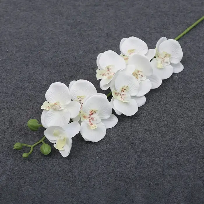 Branches de fleurs artificielles de Phalaenopsis, 69cm, tiges d'orchidées en Faux toucher réel pour
