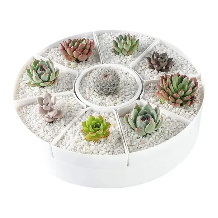 Pots de fleurs rotatifs multiples de forme ovale - Plante en pot pour plantes succulentes blanches - Pot de rangement