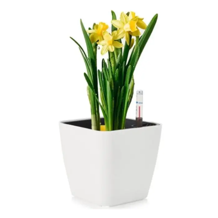 G6KF Planteur à eau auto avec indicateur niveau d'eau Pots fleurs décoratifs pour chambre cuisine Bureau des maisons