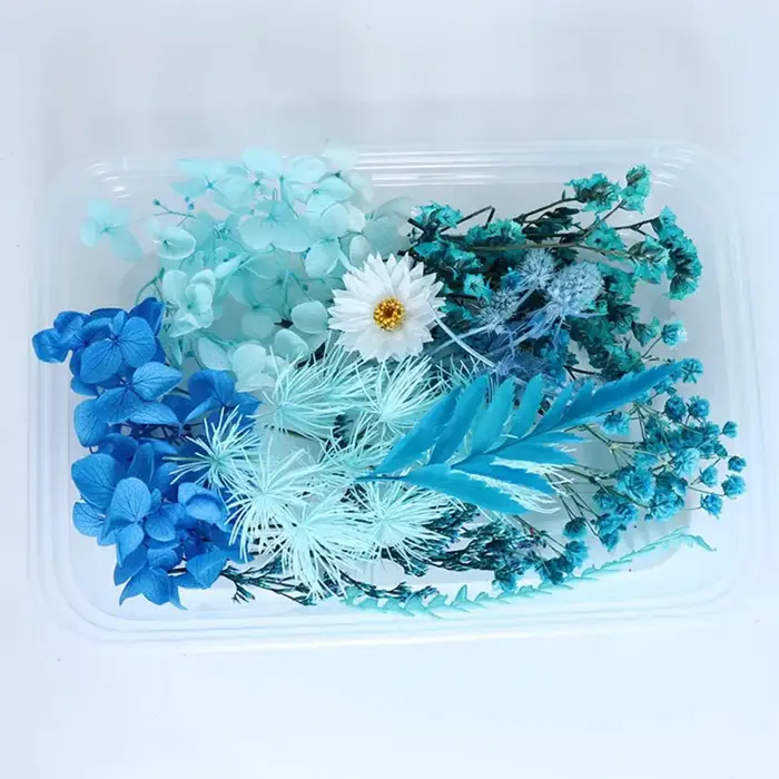 Boîte de fleurs séchées