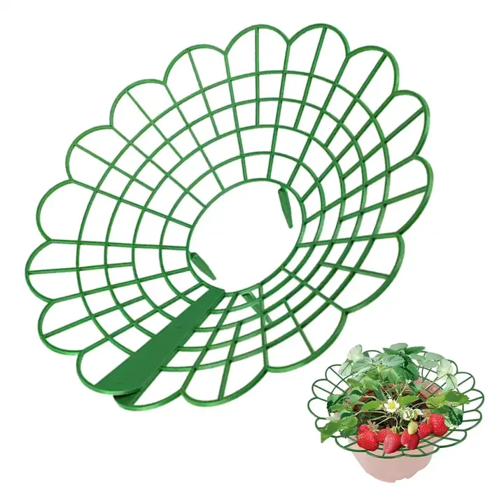 1 support pour plantes de fraises avec trois pieds robustes