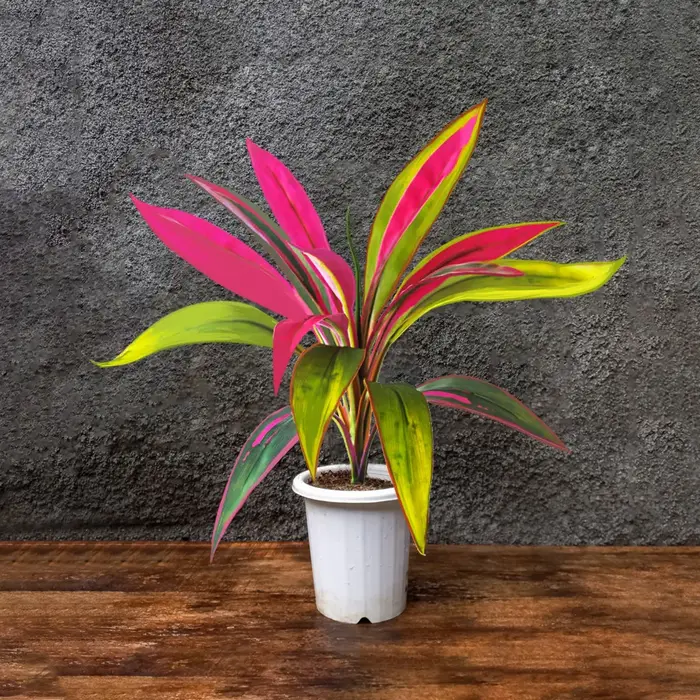 45 cm 17 feuilles artificielles Dracaena arbre fausses plantes de palmier tropicales