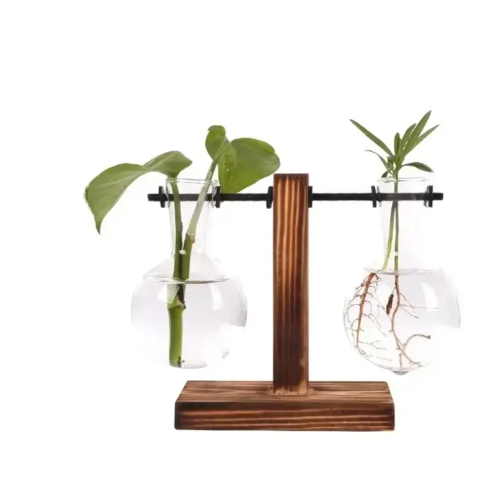 Plante hydroponique Terrarium Vasevase décoration maison bouteille en verre