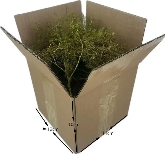 Diorama – arbres et buissons en mousse de mer, plantes de végétation miniatures pour la fabrication 