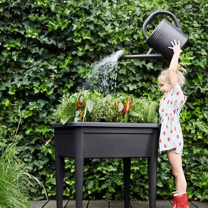 Arrosoir 1L/2L à long bec en plastique pour fleurs