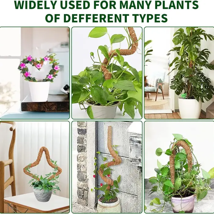 Support de grimpement pliable pour plantes