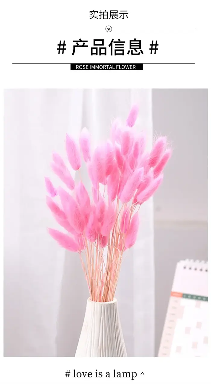 Fleurs naturelles séchées pour décoration de gâteau