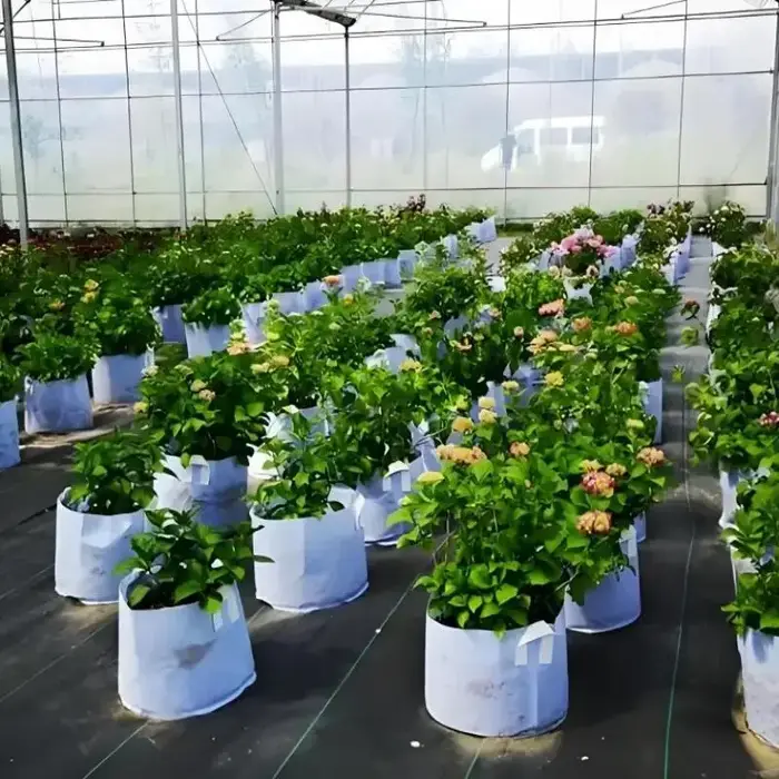 Pots ronds en tissu, sacs de culture