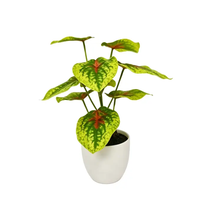 Le cadeau idéal pour les amateurs de plantes : un faux bonsaï de 20 cm, sans entretien, sûr et idéal