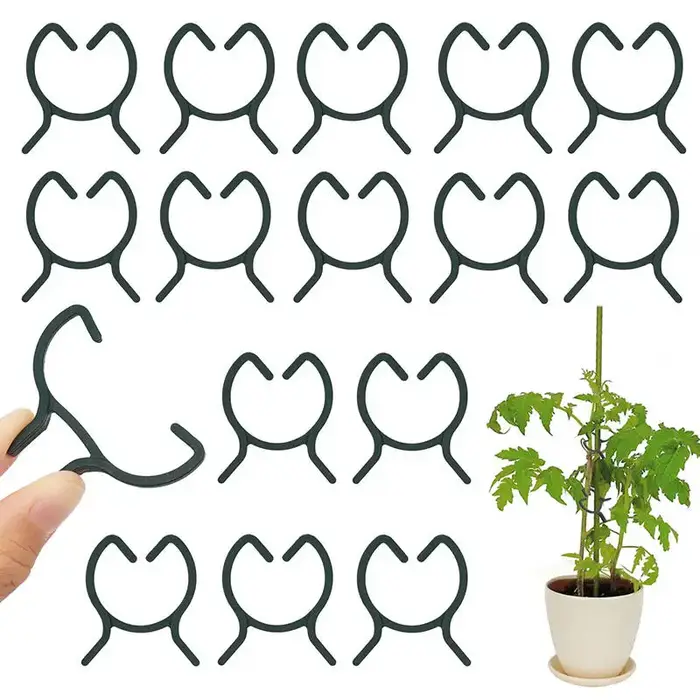 100/200 pièces Clips pour plantes