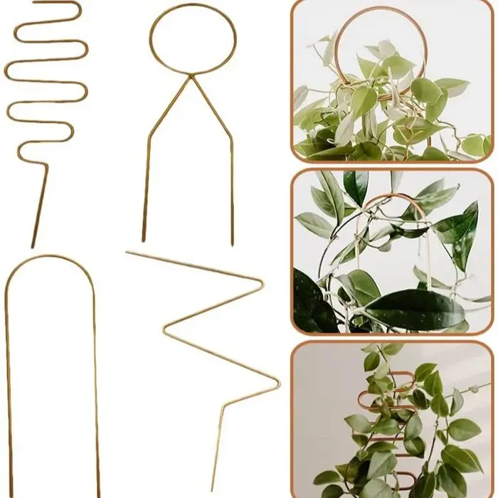 Support d'escalade de tige de plante