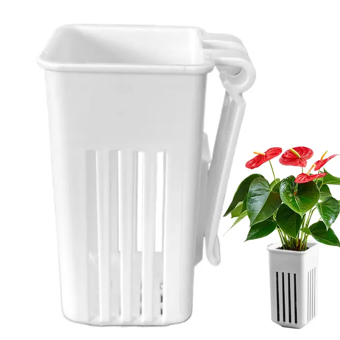 Porte-plante pour Poissons Précieux