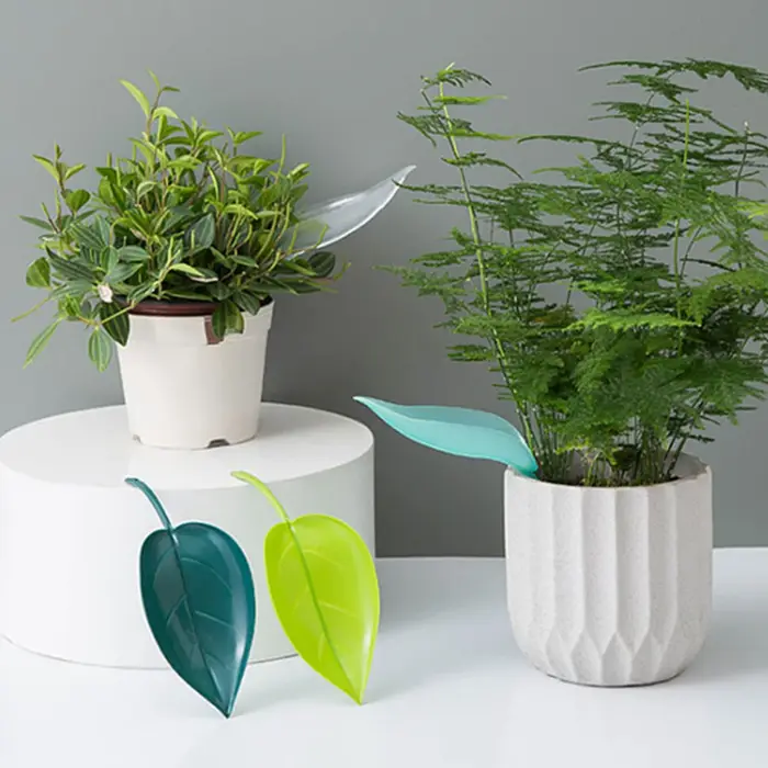 Nouveau Abreuvoir, entonnoir à feuilles