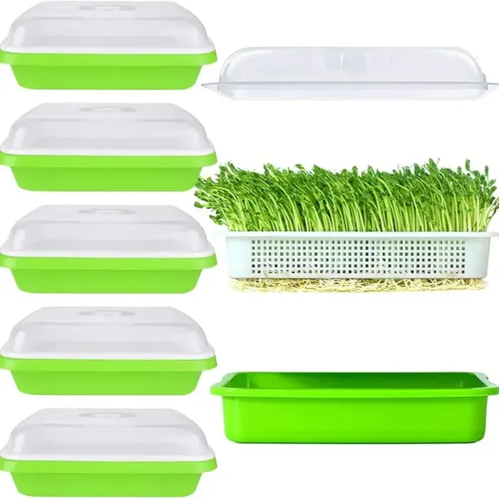 Plaque de germination hydroponique sans sol avec couvercle