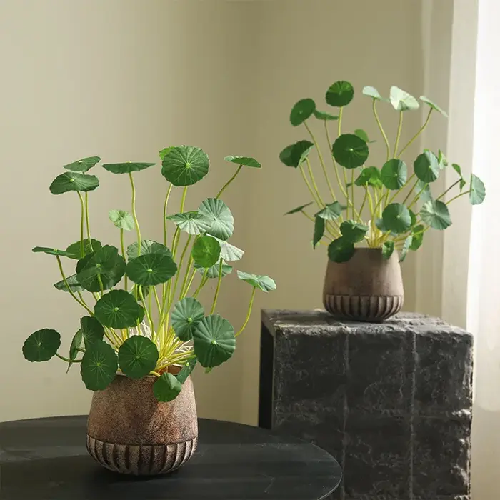 Plantes artificielles de lotus