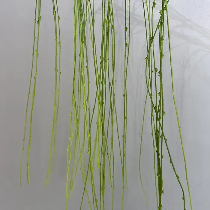 Simulation de plantes de saules pleureurs