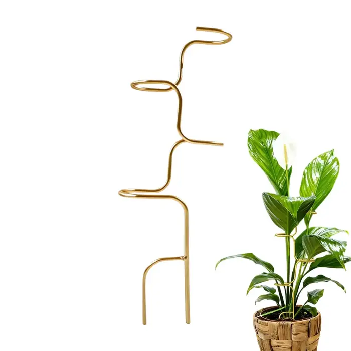 Supports de plantes en métal pour Monstera
