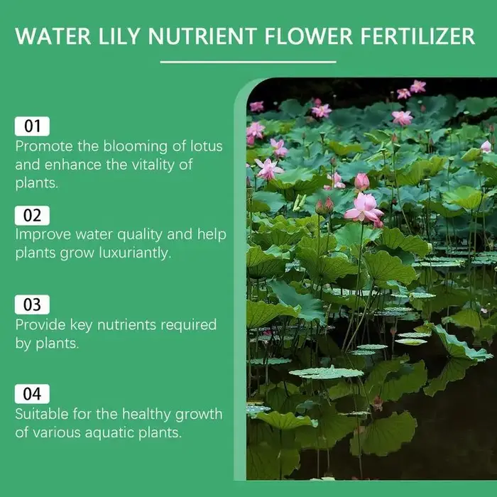 Bol de pollen de lotus favorise la croissance de la santé des plantes