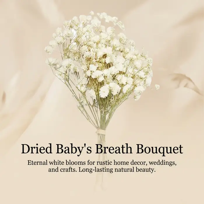 Mini bouquet de fleurs préservées avec gypsophile et herbe de l'amour pour la décoration de la maison et de mariage