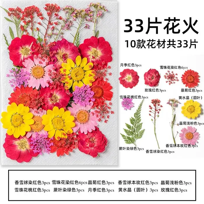 Kit de matériaux combinés de feuilles de fleurs séchées